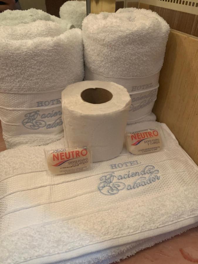 Hotel Hacienda Salvador San Juan de los Lagos Bagian luar foto